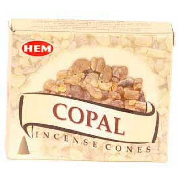 Home Fragrance Incense HEM Copal Prayer Meditation Cone 10pk