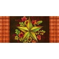 thumbnail image 1 of Home & Garden Fall Barn Star Insert Synthetic Rubber Autumn Synthetic Mat 431143, 1 of 2