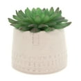thumbnail image 1 of Home & Garden Square Face Planter Ceramic Succulent 102446, 1 of 2