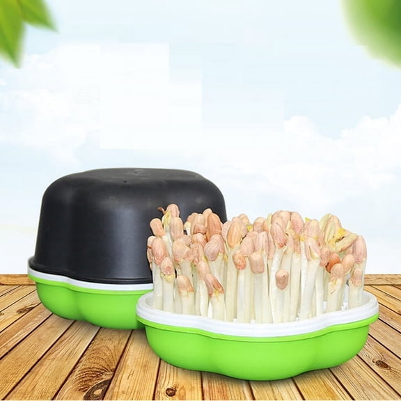 Home Garden Sprout Seedling Tray 2-Pack 4-Piece Set, Plastic OPP Bag Packaging