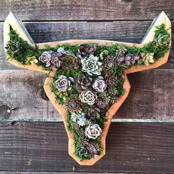 Home Garden Succulent Garden Arrangement,Wooden Planter Boxes Outdoor,Wood Shaped Succulent Planter,Garden Outdoor Decorations