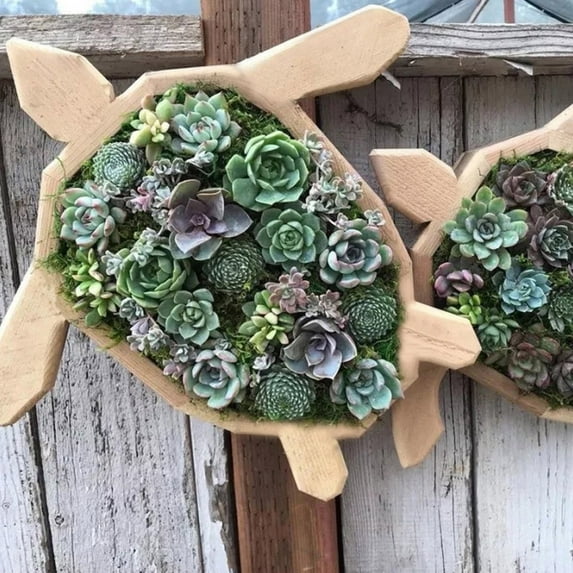 Home Garden Succulent Garden Arrangement,Wooden Planter Boxes Outdoor,Wood Shaped Succulent Planter,Garden Outdoor Decorations