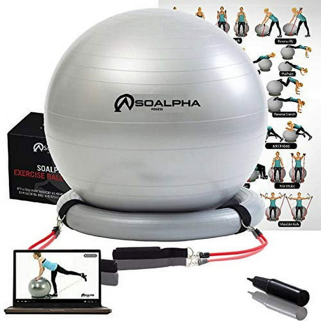 Home Gym Bundle Exercise Ball with 15LB Resistance Bands & Stability Base – Workout from Home – Great for All Fitness Levels - 65CM Anti-Burst Yoga Ball - Watch Exercise Videos Online