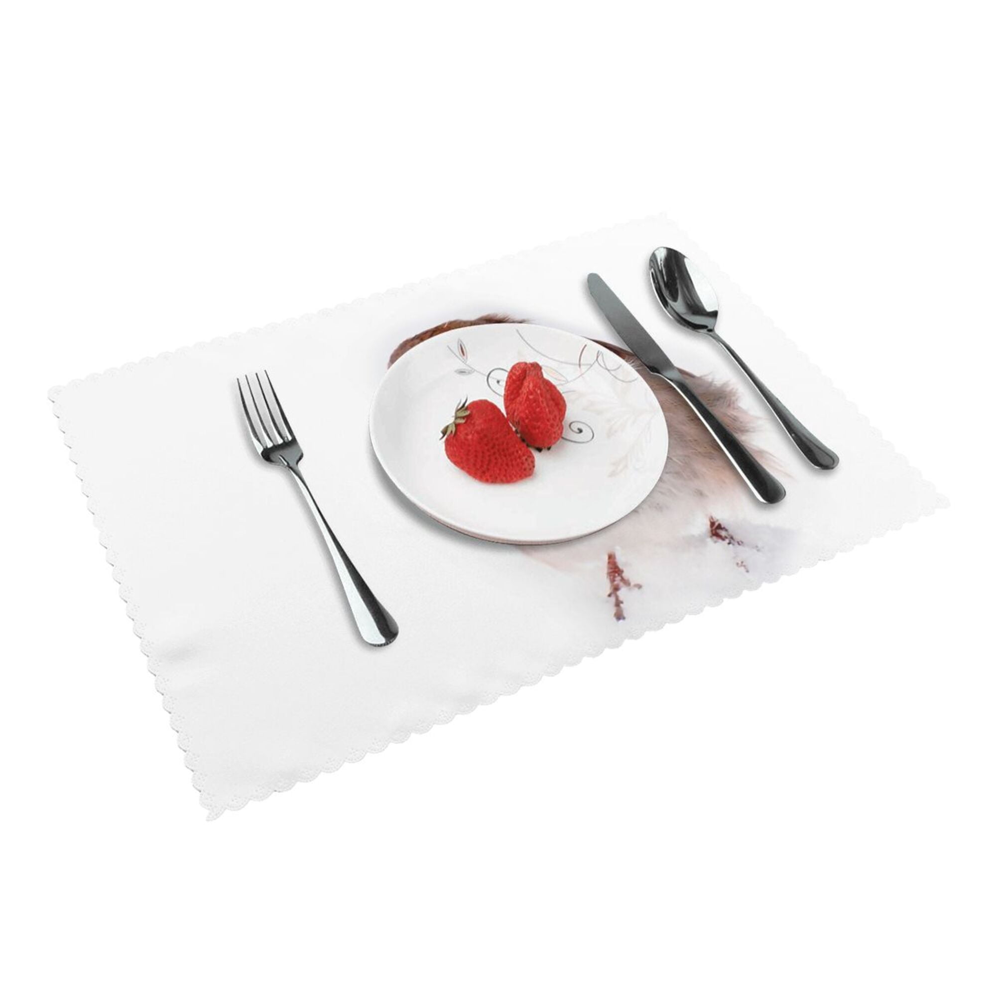 Home It'S A Cold Day Robin Placemats Set Of 4 Washable Wipeable Place