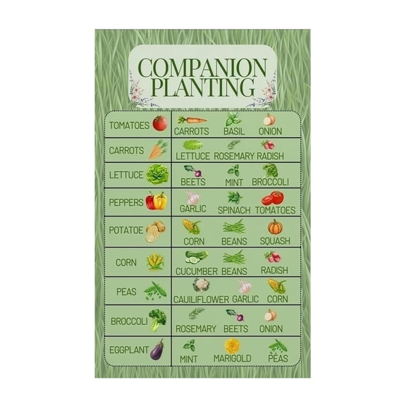 Home Office Study Room Classroom Decor Garden Companion Planting Chart Poster Vegetable Herb Pairing Reference Guide Educational Canvas Wall Art