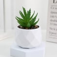thumbnail image 1 of Home Plastic Fake Plants Cactus Small Potted Plants Succulents Bonsai Bonsai Plants Artificial Succulent H, 1 of 7