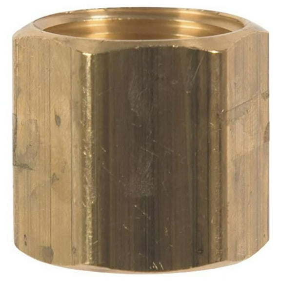 Home Plus 4016813 0.75 x 0.75 in. Brass Hose Adapter, Gold - Pack of 5