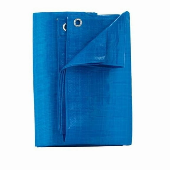 Home Plus 4 ft. W X 6 ft. L Light Duty Polyethylene Tarp Blue