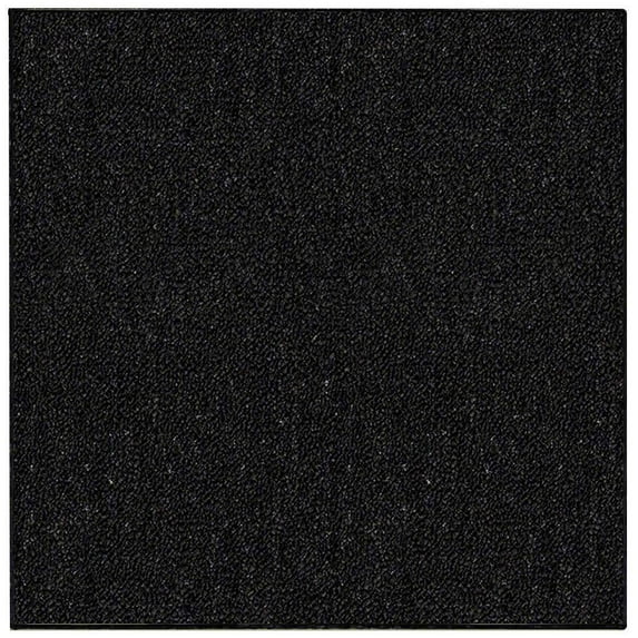 Home Queen Color World Collection Pet Friendly Indoor Outdoor Area Rug Black - 10' Square