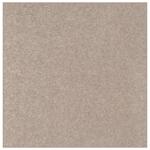 Home Queen Solid Color Beige 12' Square - Area Rug