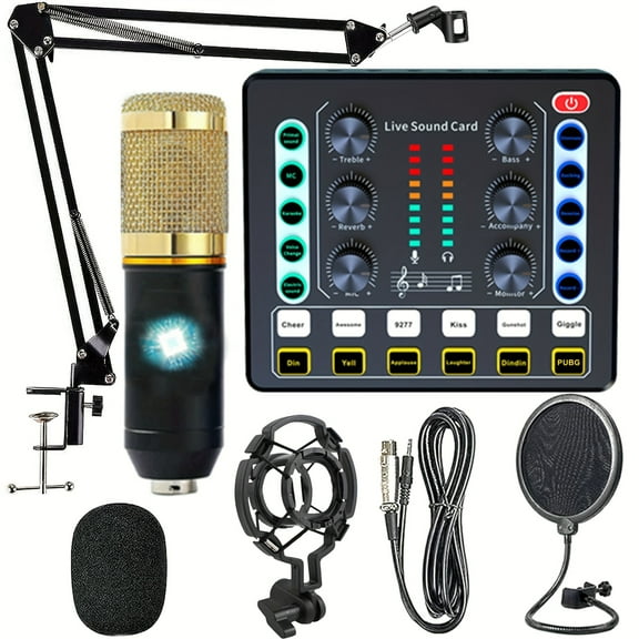 Home Recording Studio Recording Kit, Podcast Music Mixer Equipment, Condenser Microphone Set