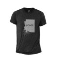 thumbnail image 1 of Home Roots State Arizona AZ Men's Modern Fit Fun Casual T-Shirt Printed Graphic Tee Charcoal Grey Small, 1 of 3