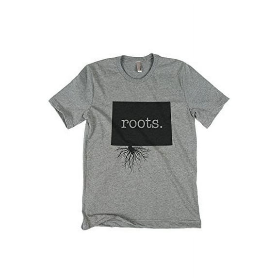 Home Roots State Colorado Mens Fitted T-Shirt Tee Heather Grey - Small