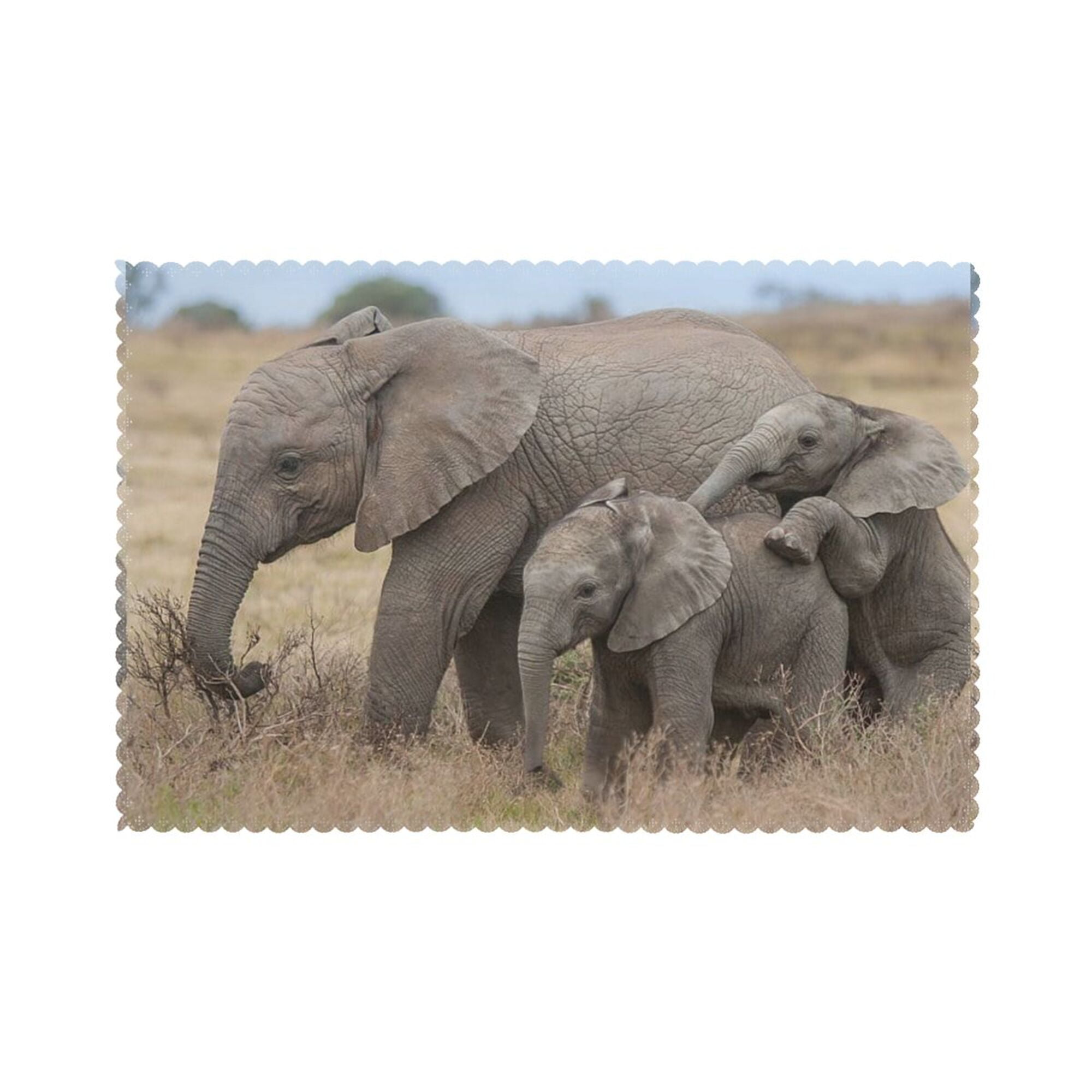 Home Safari Elephant Mom And Baby Elephant On African Grassland