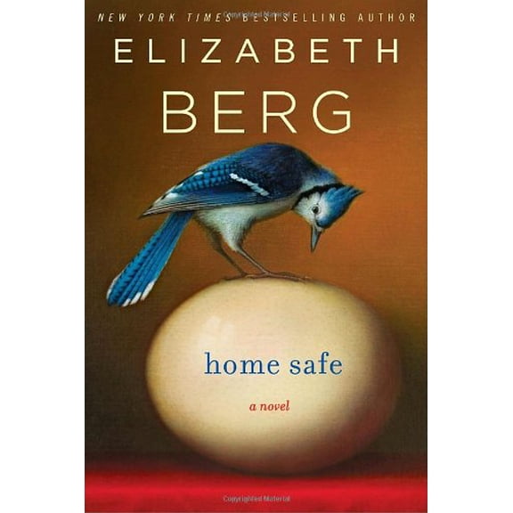 Pre-Owned Home Safe (Hardcover)