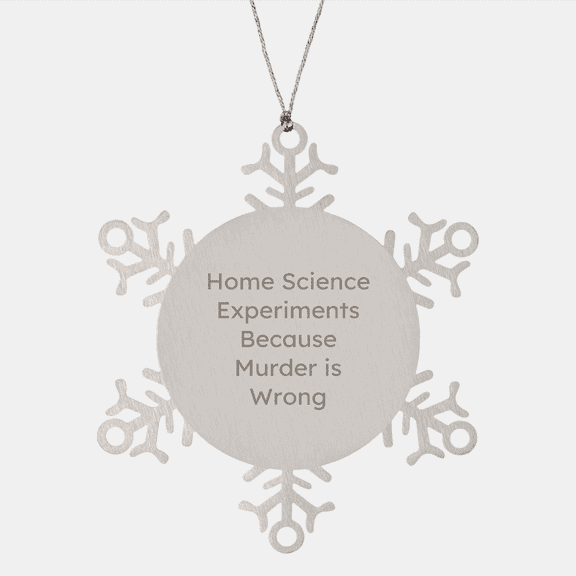 Home Science Experiments Gifts from Friends, Snowflake Ornament for Home Science Enthusiasts, Funny Christmas Unique Gifts for Men, Women, Coworkers