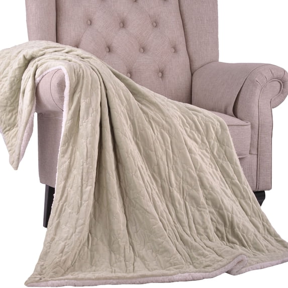Home Soft Things Aurora Embroidery Throw - Light Green - 50" x 60"