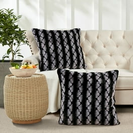 https://i5.walmartimages.com/seo/Home-Soft-Things-Ballys-Faux-Fur-2-Piece-Throw-Pillow-Cover-Set-Black-26-x-26_9ae69776-63d9-42e8-bd65-85e47d2fc78e.b379ac9c9c369753a1c8e269b9216079.jpeg?odnHeight=264&odnWidth=264&odnBg=FFFFFF