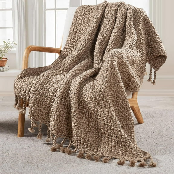Home Soft Things Basket Weave Throw Blanket with Braided Tassels, Reversible Lightweight Super Soft Cozy Throw Blanket, 50x60 inches, Amphora