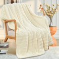 thumbnail image 1 of Home Soft Things Derby Double Sided Faux Fur Throw Blanket Solid Color Fuzzy Super Soft Cozy Plush Throw - Ivory - 50" x 60", 1 of 9