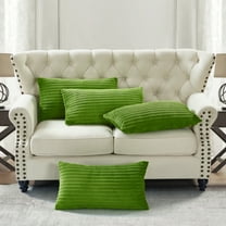 Home Soft Things Ribbed Flannel Throw Pillow Cover 4pcs - green eyes - 14" x 26"