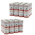 thumbnail image 1 of Home Square 2 Piece Set with Two 24 Packs of 13 oz Gel Fuel Cans for Fireplace, 1 of 6