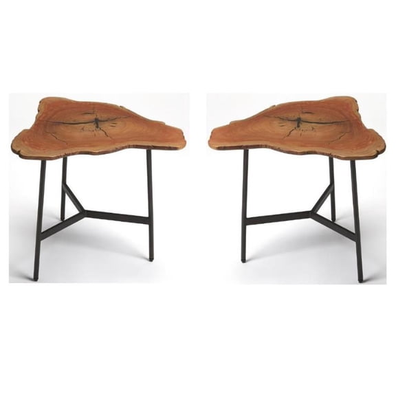 Home Square Modern Live Edge End Table in Natural Finish - Set of 2
