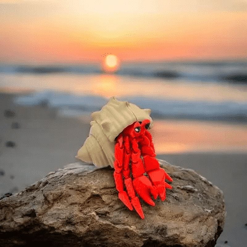 Home Sweet Shell: A 3D-Printed Hermit Crab - Walmart.com