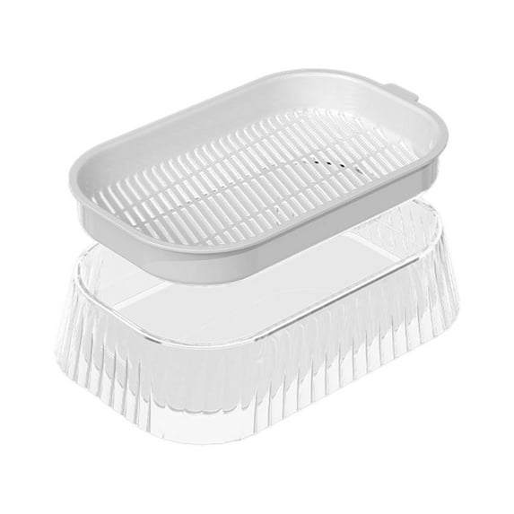 Home Transparent Water-Planting Box Soils-Free Tray for Hydroponic Growing Plants Germination Tray for Beans Vegetables and Grass for Cats