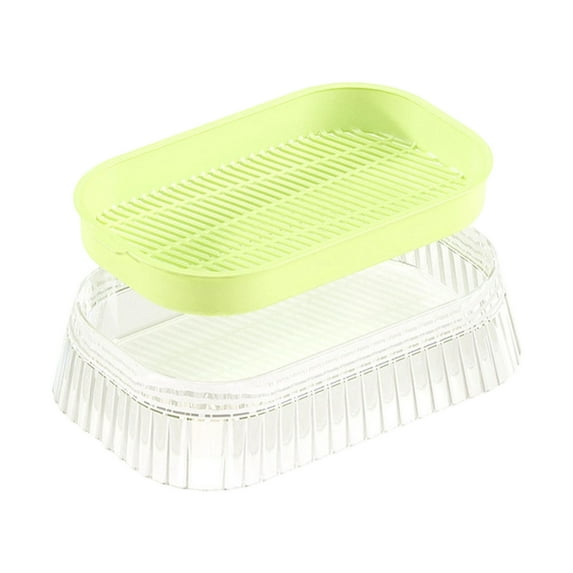 Home Transparent Water-Planting Box Soils-Free Tray for Hydroponic Growing Plants Germination Tray for Beans Vegetables and Grass for Cats