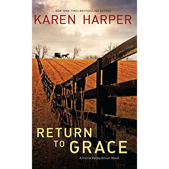 Pre-Owned Return to Grace (The Home Valley Series, 2) (Paperback) 0778313239 9780778313236