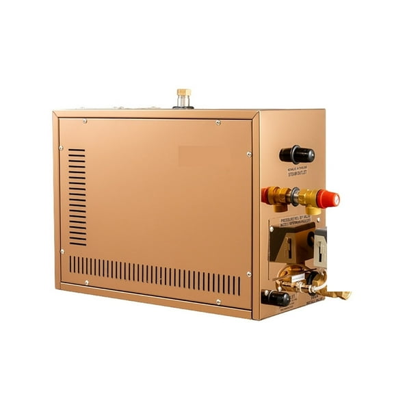 Home Wet Steam Room Steam Bath Generator Household Steaming Sauna Room Steam Bath Sauna Machine For Spa ,Reliable and Durable