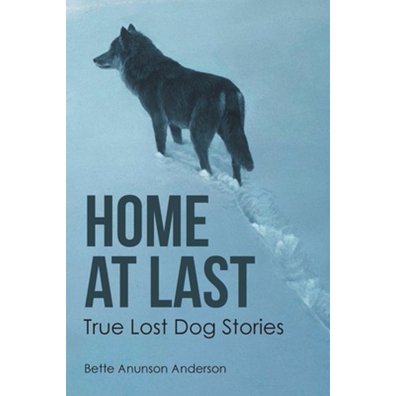 Pre-Owned Home at last: True Lost Dog Stories (Paperback) 1645840026 9781645840022