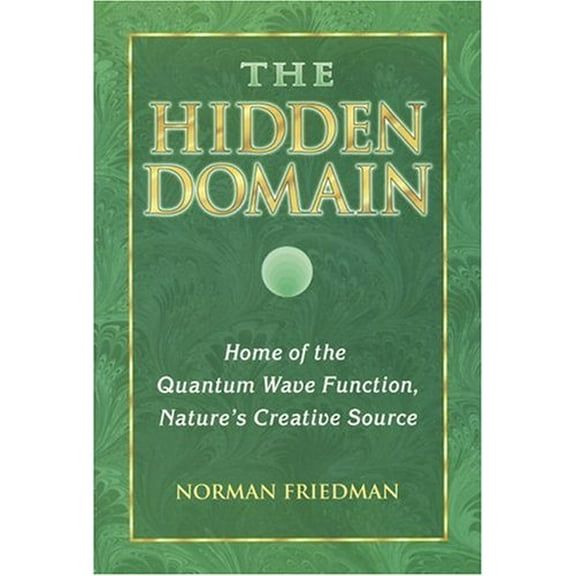 Pre-Owned The Hidden Domain: Home of the Quantum Wave Function, Nature's Creative Source (Paperback) 1889964093 9781889964096