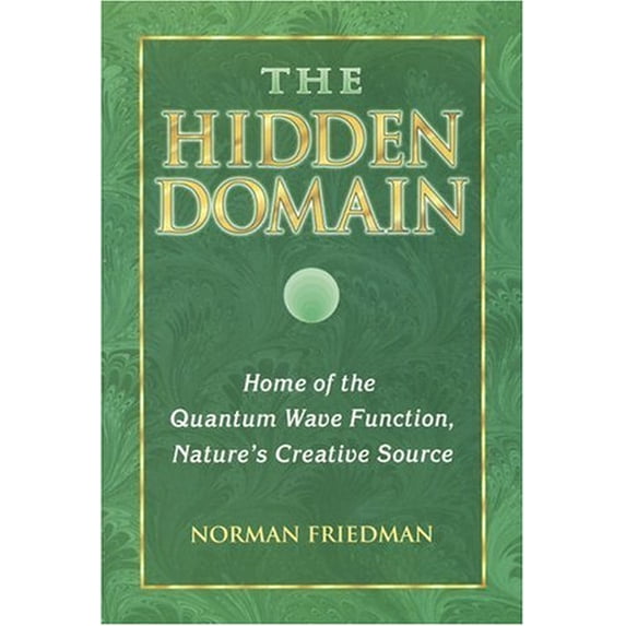 Pre-Owned The Hidden Domain: Home of the Quantum Wave Function, Nature's Creative Source (Paperback) 1889964093 9781889964096