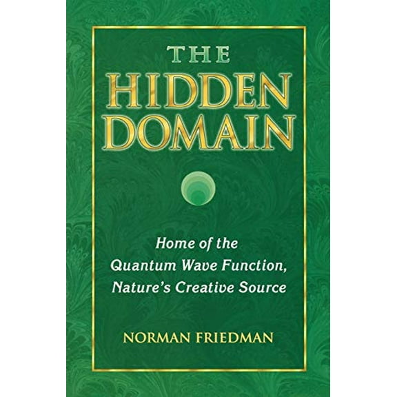 Pre-Owned The Hidden Domain: Home of the Quantum Wave Function, Nature's Creative Source (Paperback) 1889964093 9781889964096