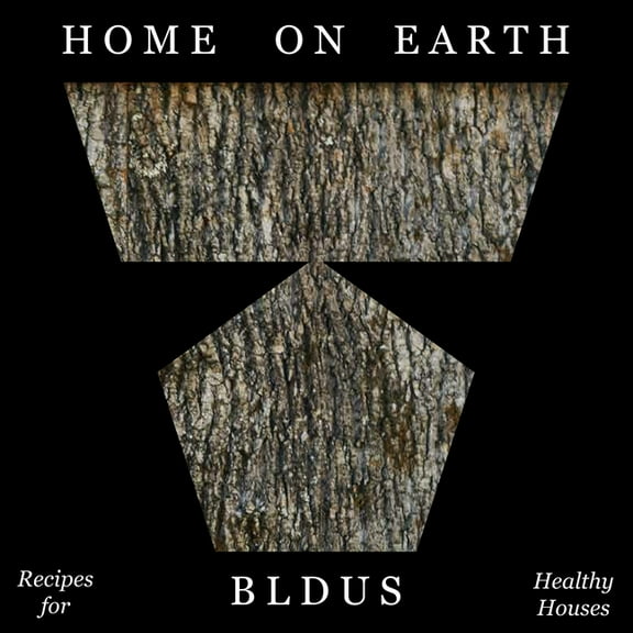 Home on Earth: Recipes for Healthy Houses, (Paperback)
