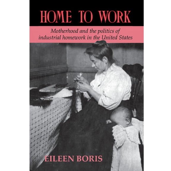 Home to Work: Motherhood and the Politics of Industrial Homework in the United States, (Hardcover)