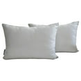 thumbnail image 1 of The HomeCentric Decorative Lumbar Pillow Cover Light Gray Pack Of 2, 14"x20" (35x50 cm) Satin Solid Oblong Pillow Cover, Solid Modern Cushion Cover Style - Light Gray Slub Satin, 1 of 5