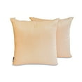 thumbnail image 1 of The HomeCentric Plain Pillow Covers Beige Pack of 2, 20"x20" (50x50 cm) Throw Pillow Cover, Art Silk Plain, Solid Throw Pillowcase For Couch, Solid Pattern Modern Style - Beige Luxury, 1 of 5