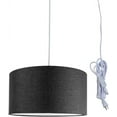 thumbnail image 1 of HomeConcept 2 Light Swag Plug-in Pendant 14" w Granite Gray with Diffuser, White Cord, 1 of 12