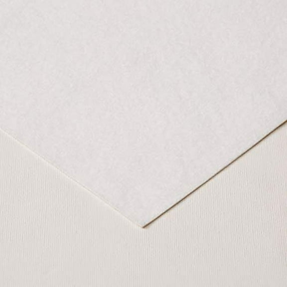 HomeCrate Premium Cushioned Heavy Duty Vinyl Table Pad, 52" x 120", Cream