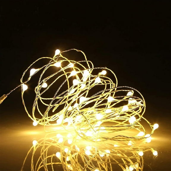 HomeDDecor Copper Wire String Lights, Fairy Light USB Plug in 33ft 100 Led Christmas String Light for Indoor Xmas Tree Wedding Party Patio Decor(Warm White)