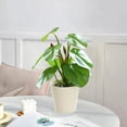 thumbnail image 1 of HomeDM Artificial Flowers in Vase, Mini Faux Pot Flower for Home Bathroom Table Living Room Office Kitchen Decor Small Fake Colorful Greenery Tabletop Decoration, 1 of 6