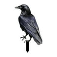 thumbnail image 1 of HomeDM Halloween Crows Decor, Artificial Realistic Looking Black Feathered Crows Halloween Ornaments for Party Yard Tree Garden Patio Indoor Outdoor Decorations, 1 of 7