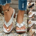 thumbnail image 1 of HomeDM Women's Block Heels Sandals Open Toe Slip-On Platform Flip-Flops Summer Beach Vacation Thong Sandals, Silver Size 7, 1 of 7