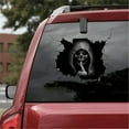 thumbnail image 1 of HomeKingdee 3D Silent Skull Sticker,Halloween Scary Grim Reaper Ghost Decal,for Car Truck Window Windshield Door Trunk Wall, 1 of 7