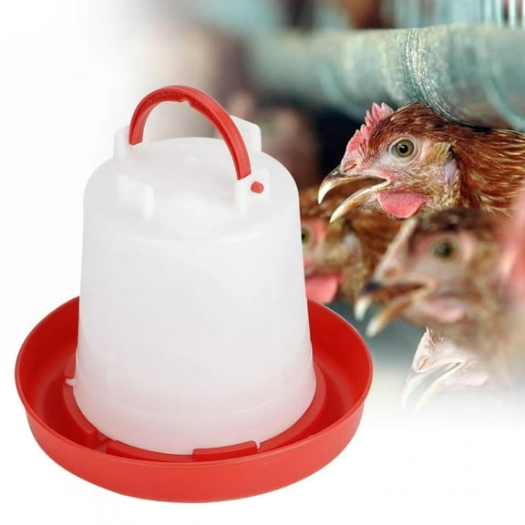 HomeKingdee Automatic Plastic Poultry Drinker Chick Waterer - 5 Gallon Capacity All-Weather Treadle System for Outdoor Chicken Coops