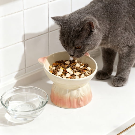 HomeKingdee Ceramic Elevated Cat Bowl - Large Capacity Pet Food and Water Dish with Neck Support and Whisker Relief for Cats, Beige
