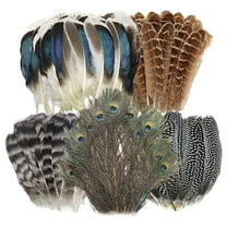 HomeKingdee Natural Feathers Bulk - Assorted Natural Feathers, Peacock Feathers, Pheasant Feathers, Turkey Feathers for DIY Crafts, Wedding, Crafting Supplies